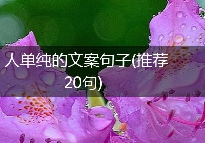 人单纯的文案句子(推荐20句)