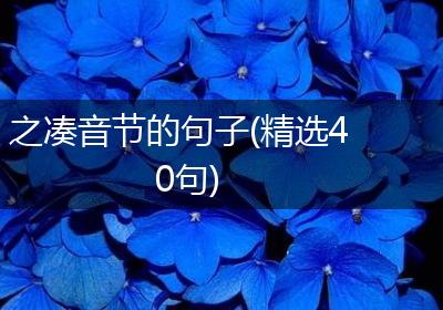 之凑音节的句子(精选40句)