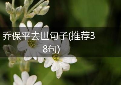 乔保平去世句子(推荐38句)