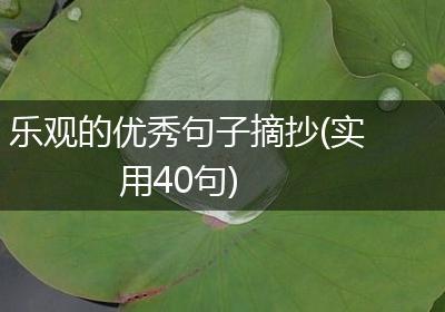 乐观的优秀句子摘抄(实用40句)