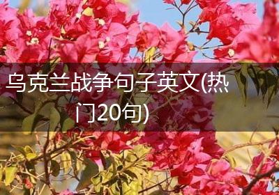 乌克兰战争句子英文(热门20句)