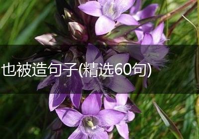 也被造句子(精选60句)