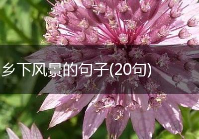 乡下风景的句子(20句)