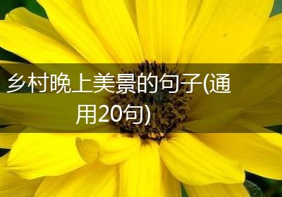 乡村晚上美景的句子(通用20句)