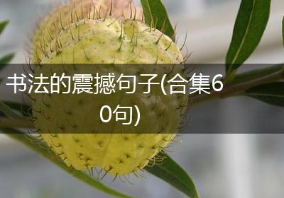 书法的震撼句子(合集60句)