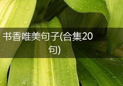 书香唯美句子(合集20句)