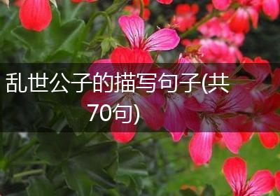 乱世公子的描写句子(共70句)