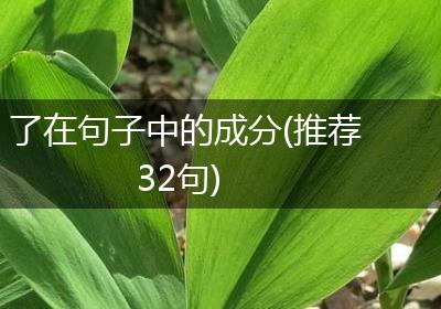 了在句子中的成分(推荐32句)