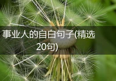 事业人的自白句子(精选20句)