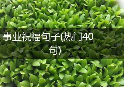 事业祝福句子(热门40句)