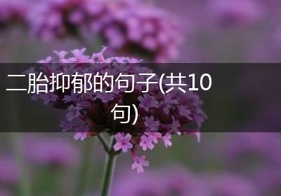 二胎抑郁的句子(共10句)