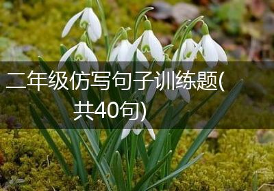 二年级仿写句子训练题(共40句)