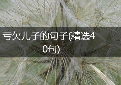 亏欠儿子的句子(精选40句)