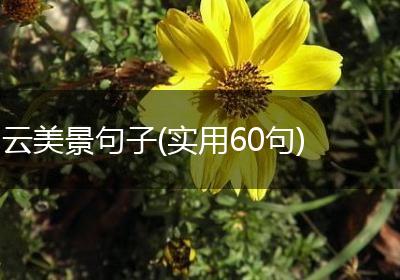 云美景句子(实用60句)