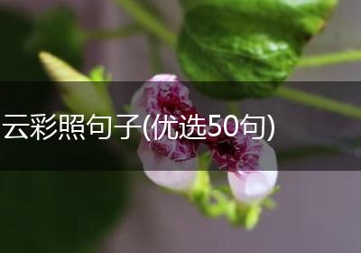 云彩照句子(优选50句)