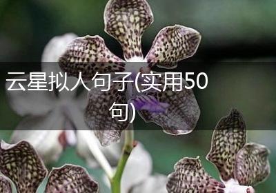 云星拟人句子(实用50句)