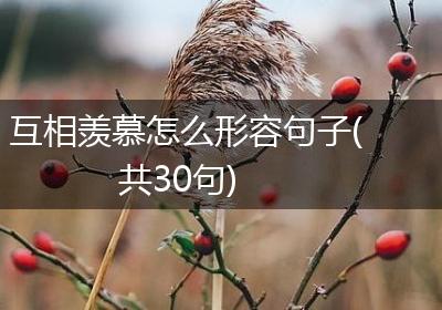 互相羡慕怎么形容句子(共30句)