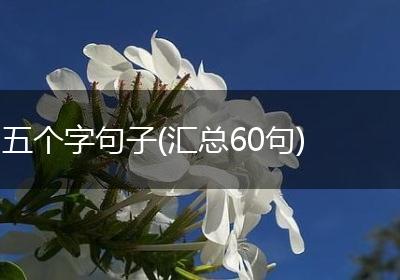 五个字句子(汇总60句)