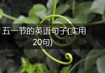 五一节的英语句子(实用20句)