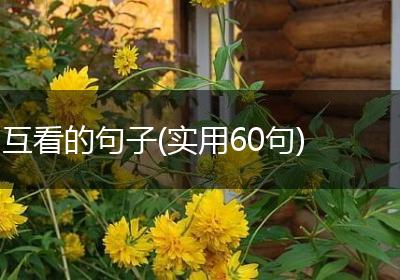 互看的句子(实用60句)