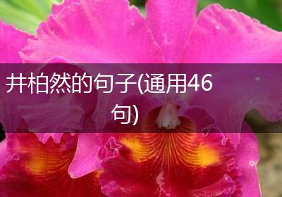 井柏然的句子(通用46句)