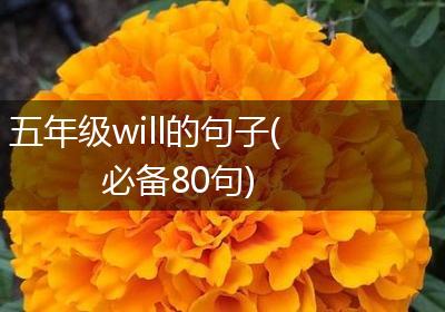 五年级will的句子(必备80句)