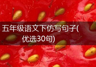 五年级语文下仿写句子(优选30句)