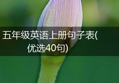 五年级英语上册句子表(优选40句)