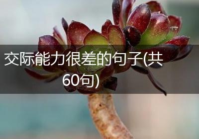 交际能力很差的句子(共60句)