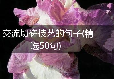 交流切磋技艺的句子(精选50句)