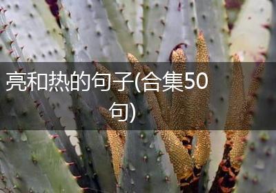 亮和热的句子(合集50句)