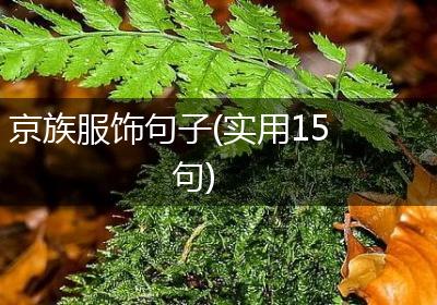 京族服饰句子(实用15句)