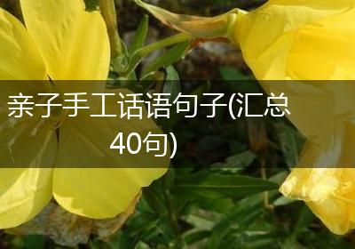 亲子手工话语句子(汇总40句)