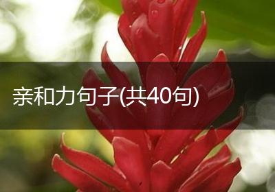 亲和力句子(共40句)