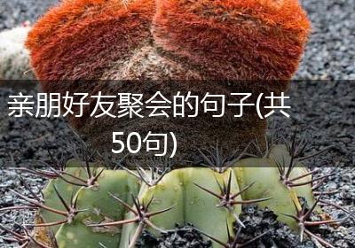亲朋好友聚会的句子(共50句)
