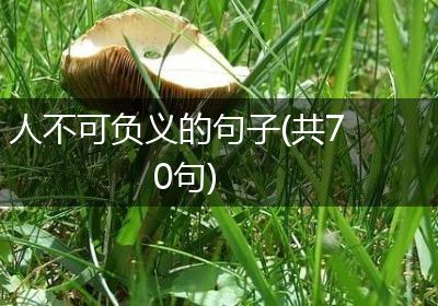 人不可负义的句子(共70句)