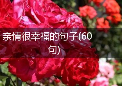 亲情很幸福的句子(60句)