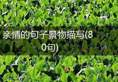 亲情的句子景物描写(80句)