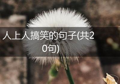 人上人搞笑的句子(共20句)