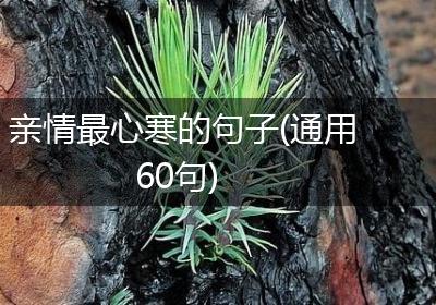 亲情最心寒的句子(通用60句)