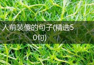 人前装傻的句子(精选50句)