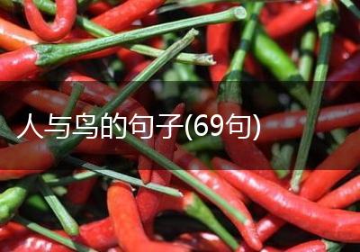 人与鸟的句子(69句)