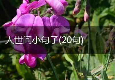 人世间小句子(20句)