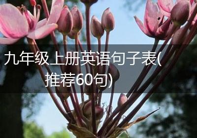 九年级上册英语句子表(推荐60句)