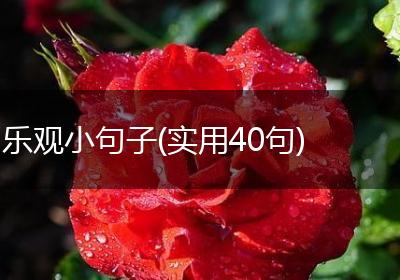 乐观小句子(实用40句)