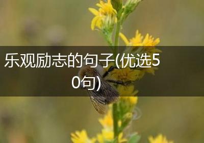 乐观励志的句子(优选50句)
