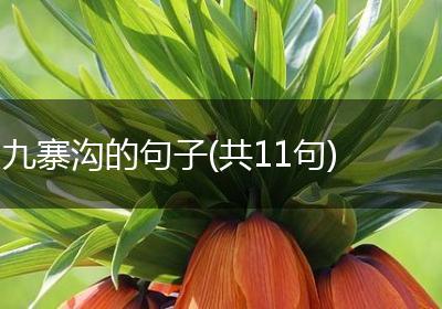 九寨沟的句子(共11句)