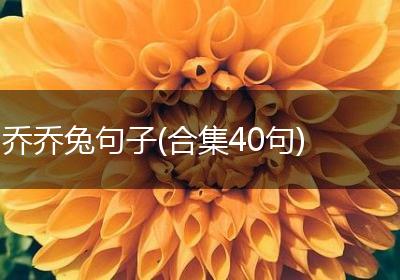 乔乔兔句子(合集40句)
