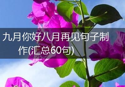 九月你好八月再见句子制作(汇总60句)