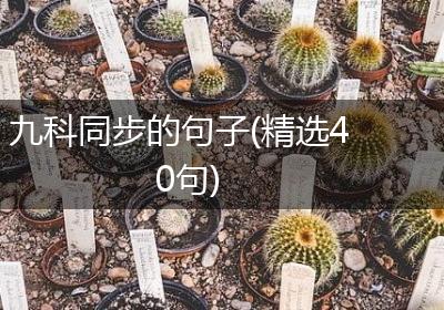 九科同步的句子(精选40句)